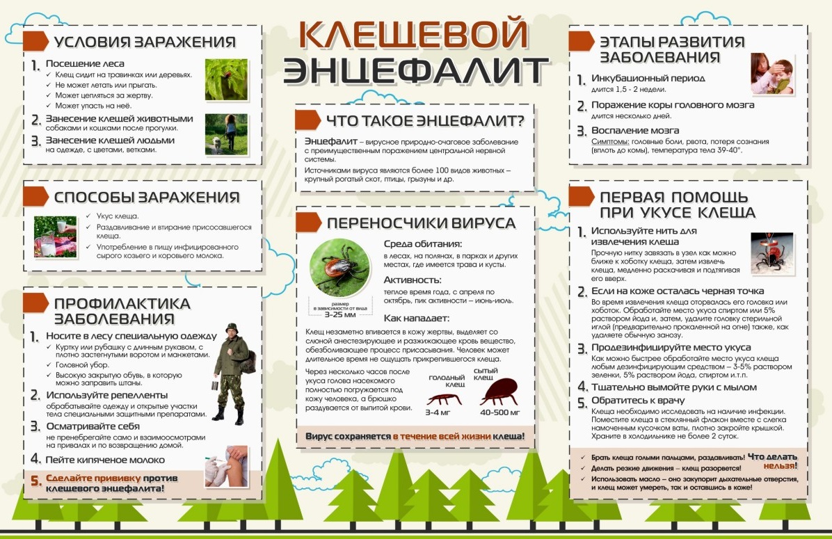 ОСТОРОЖНО! КЛЕЩИ!.